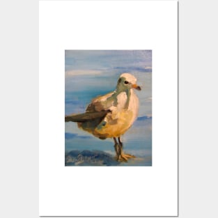 Gull Posters and Art